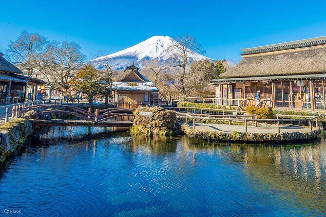 Tokyo 10-Hour Mt. Fuji & Hakone Lake Ashi Cruise & Ropeway Tour - Who Is This Tour Best For?