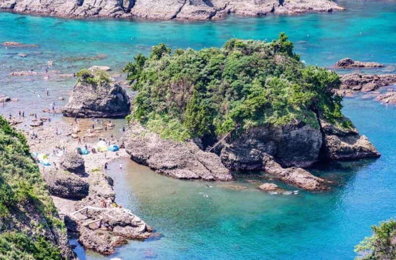 Tokyo: 2-Day Izu Coast & Cherry Blossom Trip in small group - Who Is This Tour Best For?