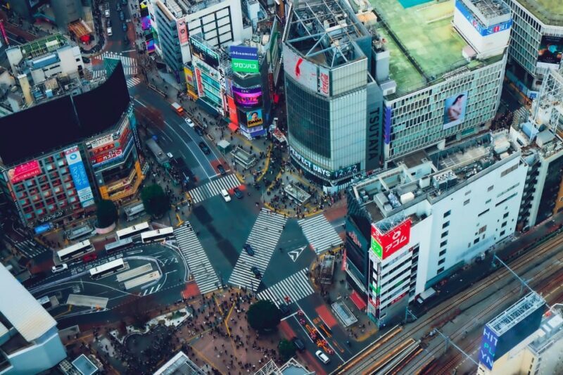 Tokyo: 2-Day Private Tour Tokyo City & Mt. Fuji or Hakone. - Value and Practicalities