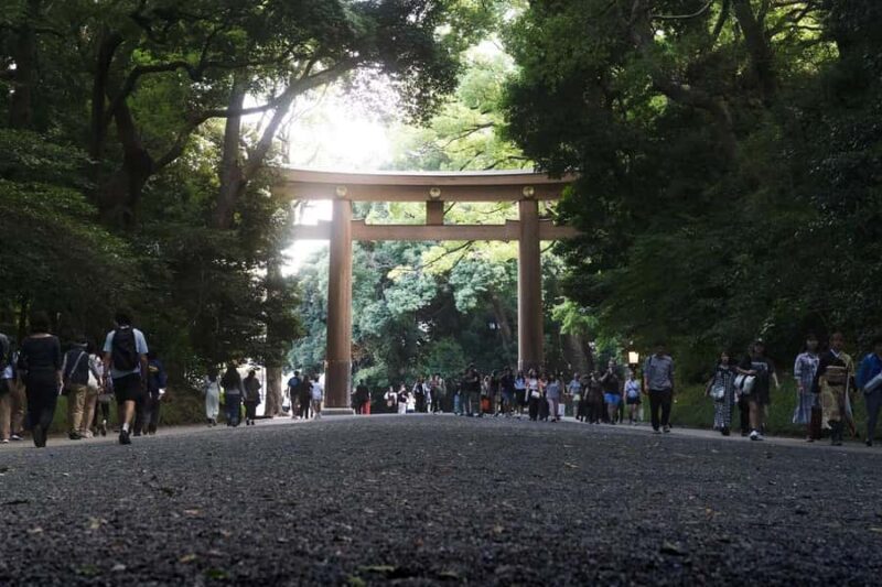 Tokyo: 2-hour Early Morning E-bike Tour of Shrines - Who Will Love This Tour?
