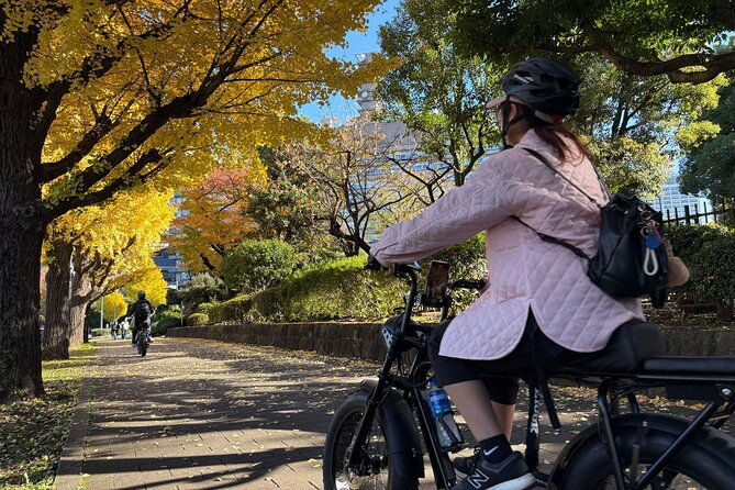 tokyo-3-hour-guided-e-bike-cycling-tour-of-the-citys-hidden-gems