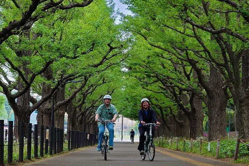 tokyo-3h-private-e-bike-cycling-tour-starting-at-your-hotel