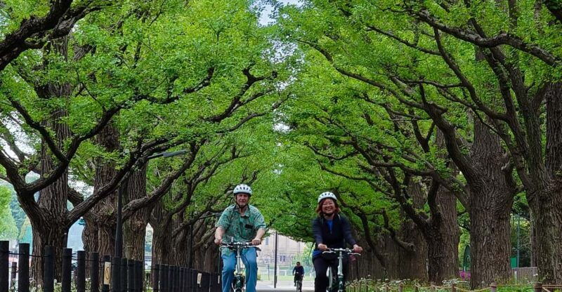 tokyo-3h-private-e-bike-cycling-tour-starting-at-your-hotel
