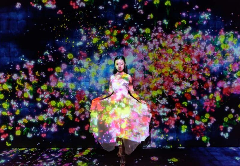 Tokyo: 4-Hour TeamLab Planets & Asakusa Tour - An Introduction to the Experience