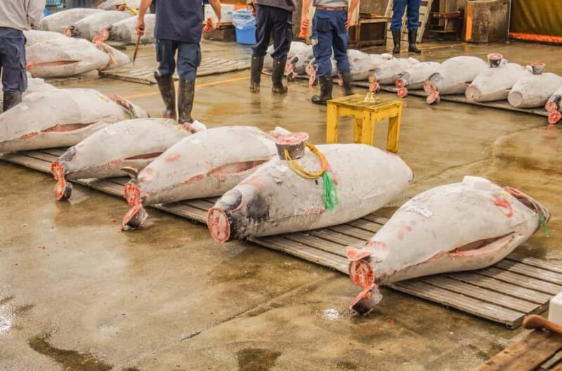 Tokyo: 4-Hour Tsukiji Market & Asakusa Old Town Tour - Key Points