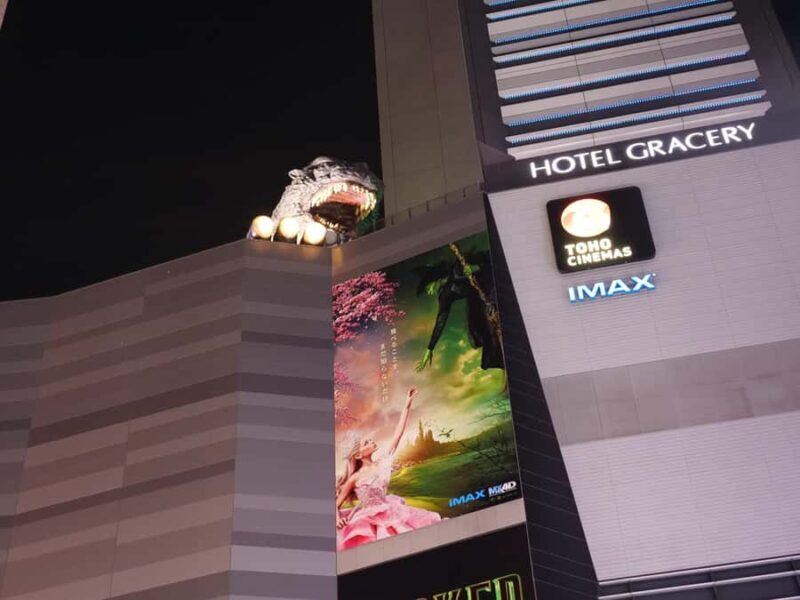 Tokyo: 4 Hours Shibuya - Shinjuku Night Tour - FAQ