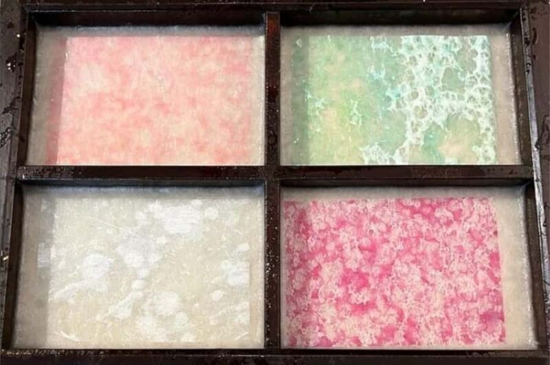 Tokyo 5hr Private Guided Tour & Washi Papermaking - Practical Tips for Your Tour