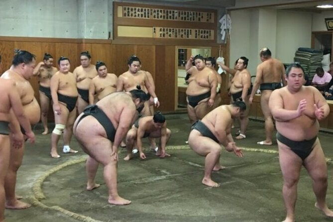 tokyo-5hr-private-tour-sumo-wrestler-morning-practice-viewing