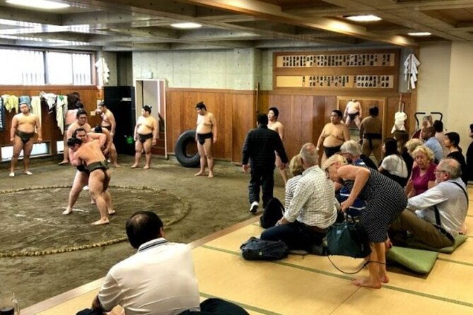 tokyo-5hr-private-tour-sumo-wrestler-morning-practice-viewing
