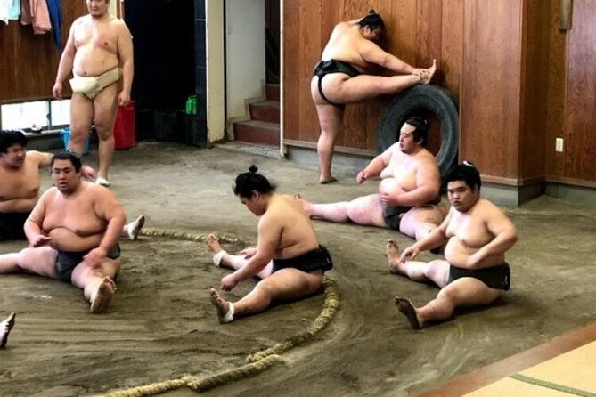 tokyo-5hr-private-tour-sumo-wrestler-morning-practice-viewing