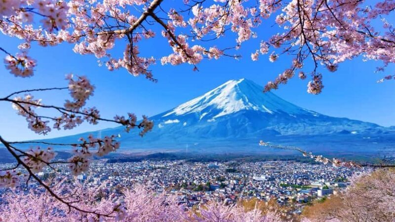 Tokyo 6 Top Spots: Yamanakako, Oshino Hakkai, Oishi Park - Exploring Mount Fuji: A Full-Day Tour of Six Iconic Spots from Tokyo
