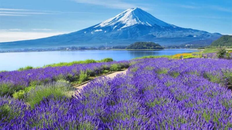 Tokyo 6 Top Spots: Yamanakako, Oshino Hakkai, Oishi Park - Key Points