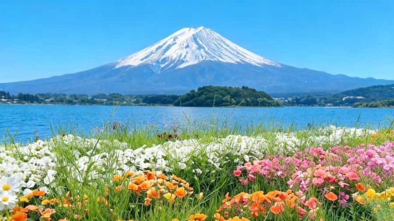 Tokyo 6 Top Spots: Yamanakako, Oshino Hakkai, Oishi Park - What the Reviews Say