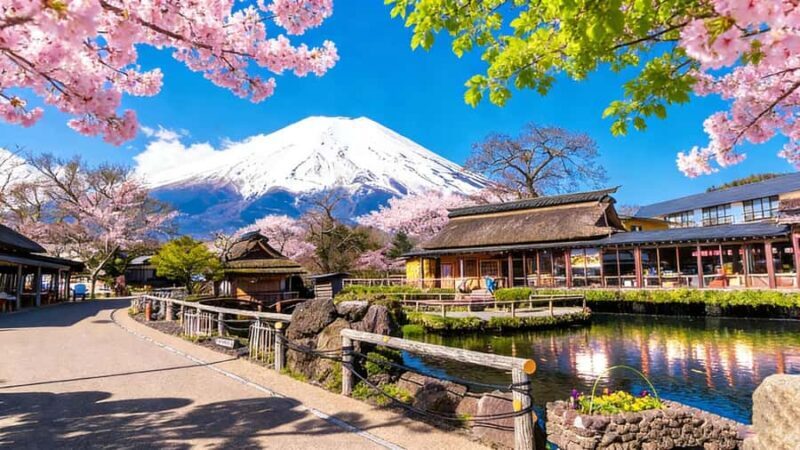 Tokyo 6 Top Spots: Yamanakako, Oshino Hakkai, Oishi Park - FAQ