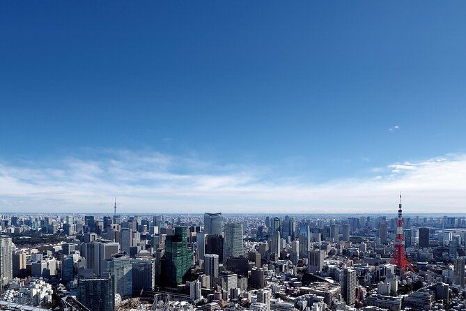 tokyo-6hr-instagram-highlights-private-tour-with-licensed-guide