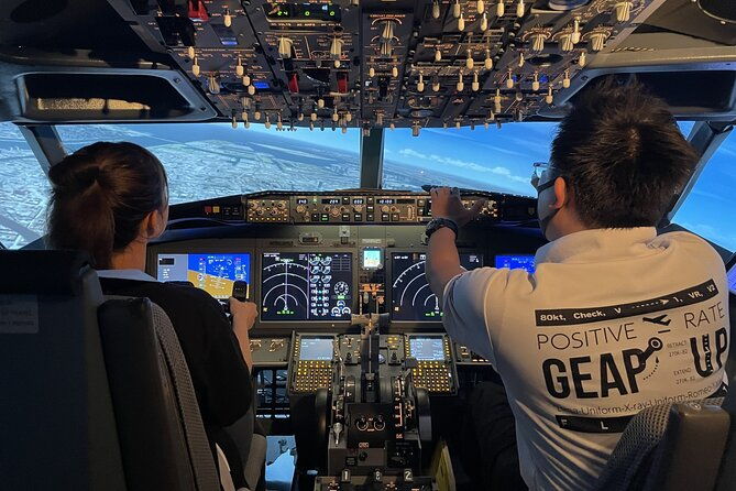 tokyo-6hr-private-guided-tour-flight-simulator-experience