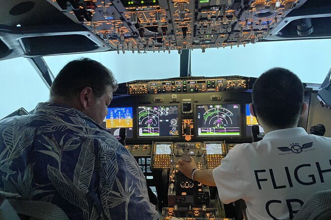 tokyo-6hr-private-guided-tour-flight-simulator-experience