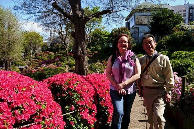 tokyo-6hr-private-tour-with-licensed-guide-max-15-persons