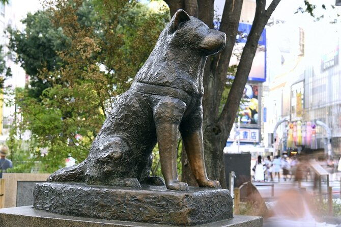 tokyo-7-hour-free-choice-tour