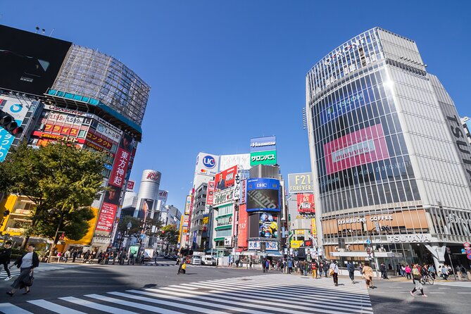 tokyo-7-hours-tour-licensed-guide-and-vehicle-nrt-airport-pick-up