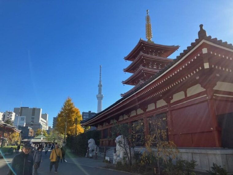 tokyo-a-half-day-trip-bus-tour-in-the-morning