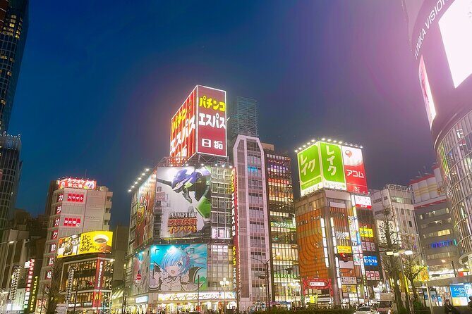 Tokyo After Dark Shinjuku Tour of Tradition and Pop Culture - Final Thoughts