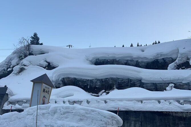 Tokyo Airport Nagano Transfer - How Does the Price Reflect the Service’s Value?