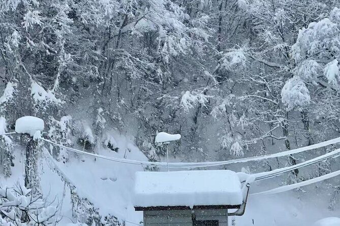 Tokyo Airport Nagano Transfer - Final Thoughts