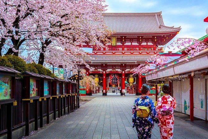 Tokyo Airport Transfers: Tokyo-Narita Airport NRT to Tokyo City in Business Car - What Does the Experience Feel Like?