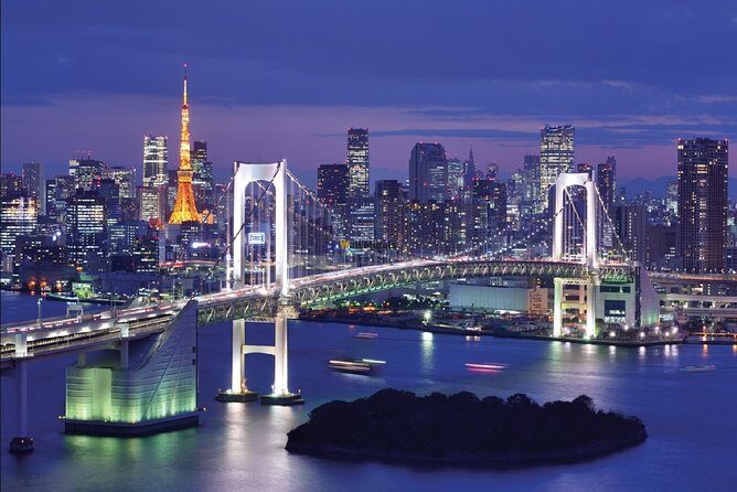 Tokyo Airport Transfers: Tokyo-Narita Airport NRT to Tokyo City in Business Car - Who Is This Transfer Best For?