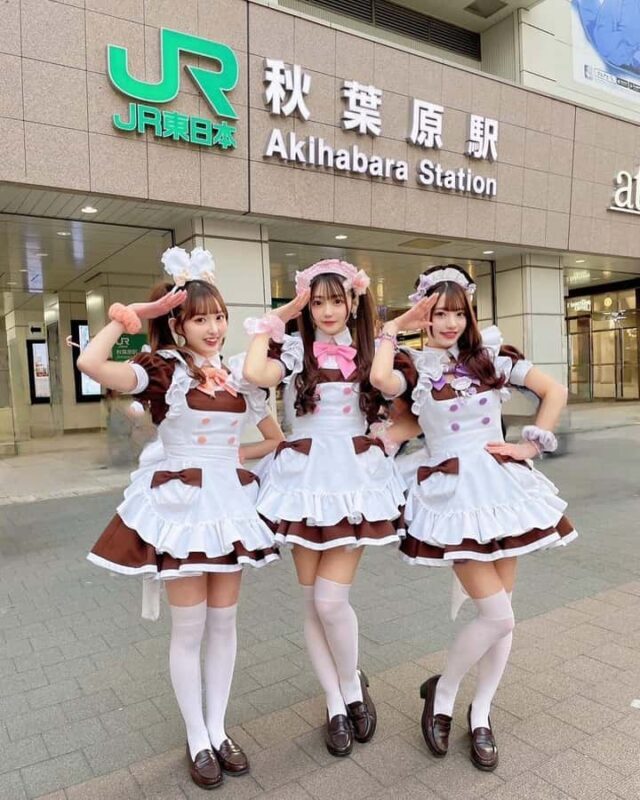 Tokyo: Akihabara Anime, Manga, and Games Walking Tour - Introduction