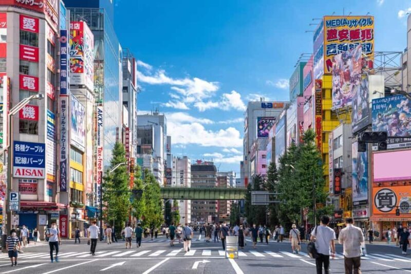 Tokyo: Akihabara Anime, Manga, and Games Walking Tour - Who Would Love This Tour?
