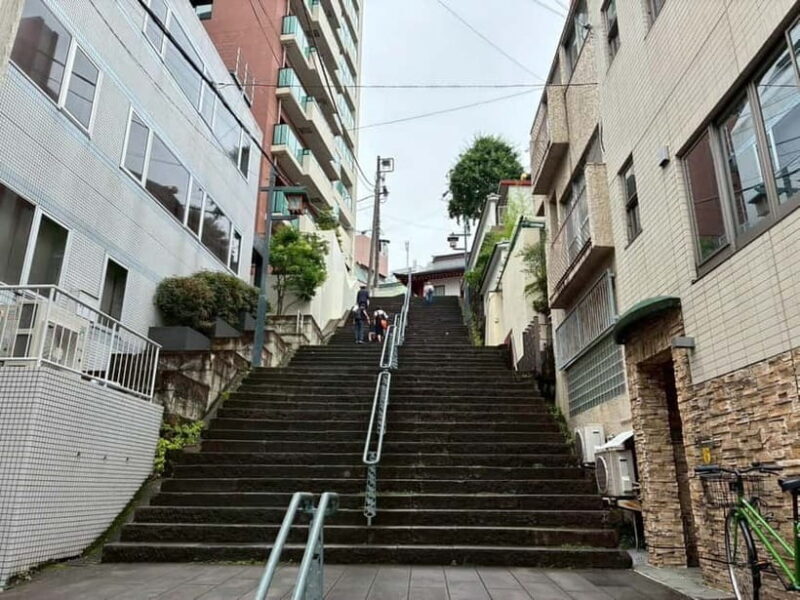 Tokyo: Akihabara Anime Tour with Maid Cafe Entry - Practical Details & Tips