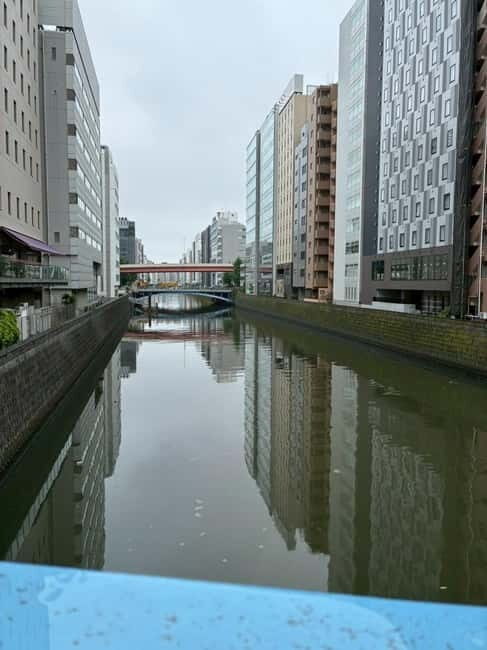 Tokyo: Akihabara Anime Tour with Maid Cafe Entry - Who Will Enjoy This Tour?