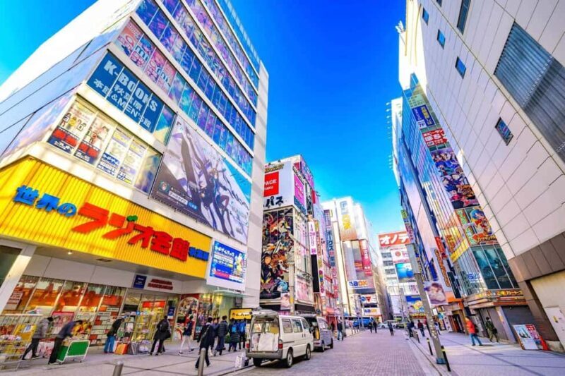 Tokyo Akihabara Anime walking tour & Maid Cafe option - Discovering Rare Merchandise: Shopping Like an Otaku Insider