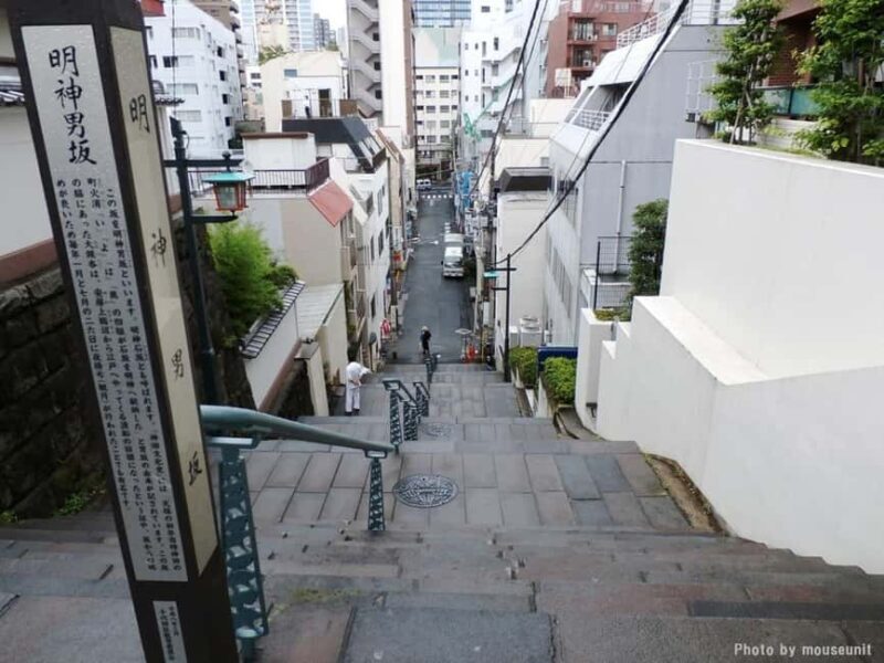 Tokyo Akihabara Anime walking tour & Maid Cafe option - Practical Details & Value