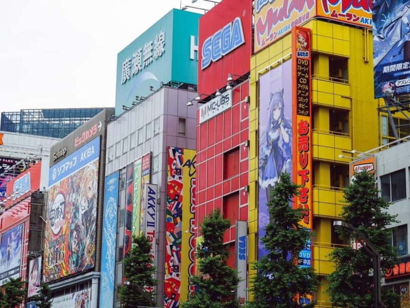 Tokyo: Akihabara Game Culture Tour with Guide - FAQ