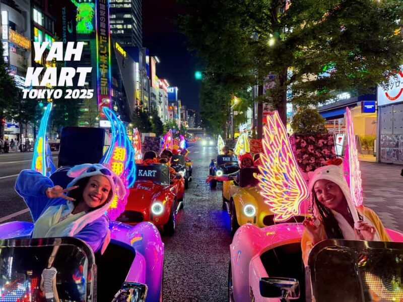Tokyo: Akihabara Go-Karting Experience (including guide) - Key Points