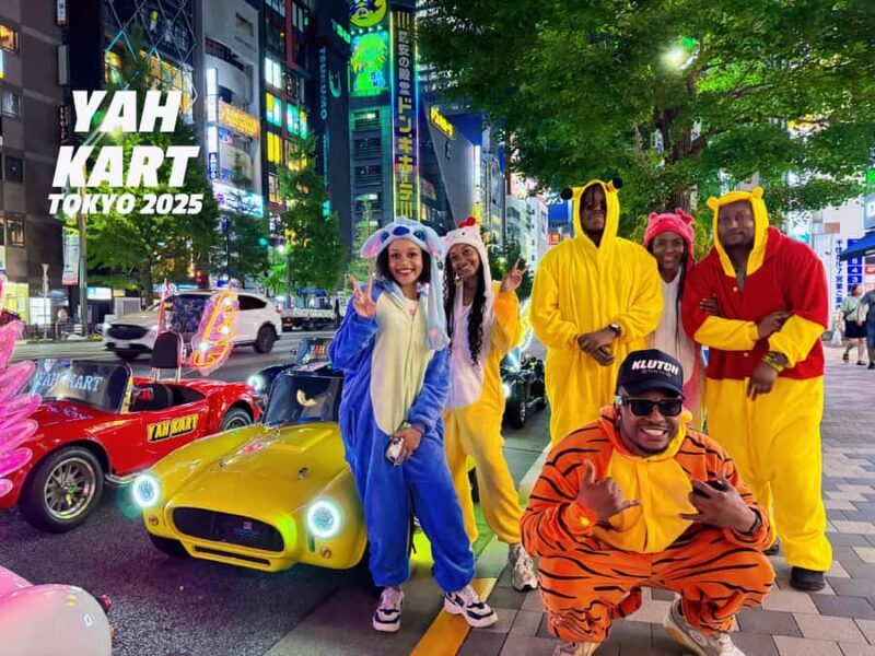 Tokyo: Akihabara Go-Karting Experience (including guide) - The Experience: What to Expect