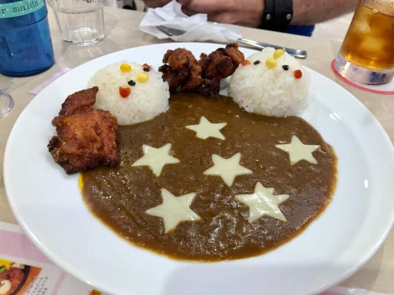 Tokyo: Akihabara Otaku Private Custom Tour - Who Should Consider This Tour?