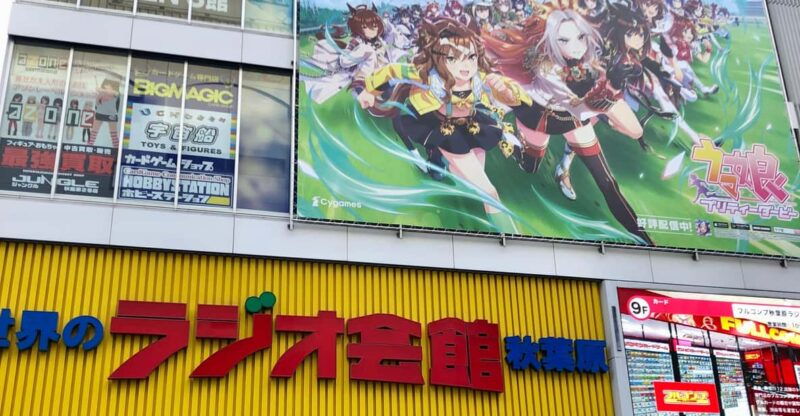 tokyo-akihabara-otaku-private-custom-tour-with-pickup