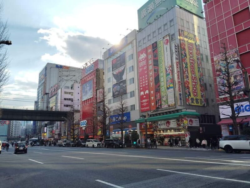 Tokyo: Akihabara Otaku Tour - 1.5h Guided Shopping - Is This Tour Worth the Price?