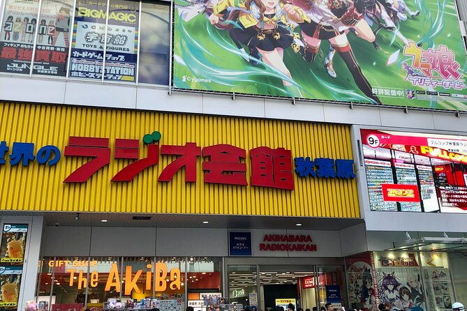 tokyo-akihabara-private-custom-tour-with-pickup