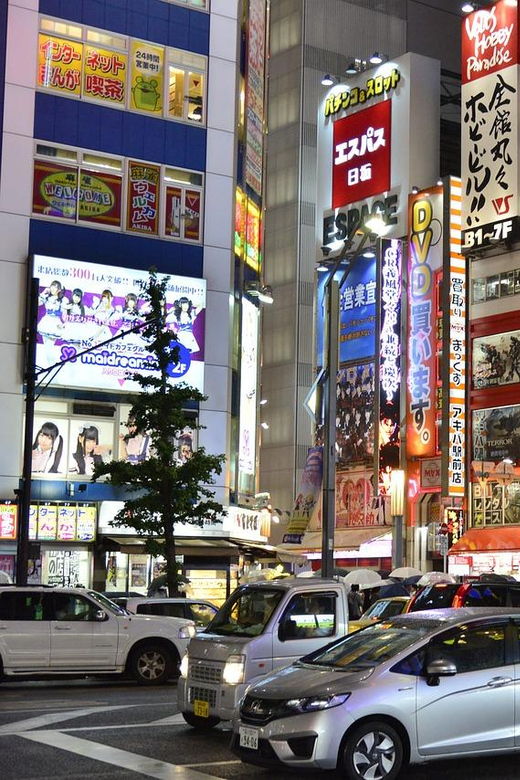 tokyo-akihabara-shibuya-karaoke-city-lights-night-tour