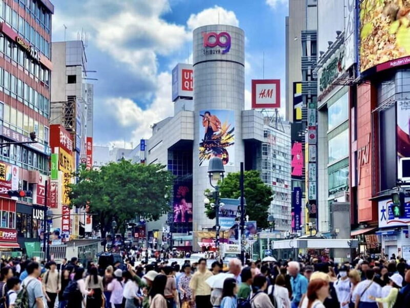Tokyo: All Inclusive "Neo Tokyo" Private Tour - Why This Tour Offers Good Value  