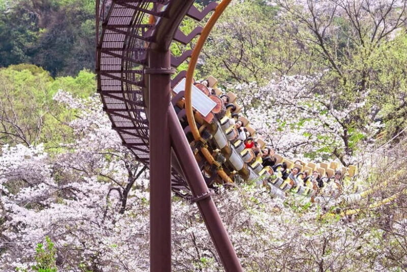 Tokyo: Amusement Park Yomiuri Land Entry Ticket - Key Points