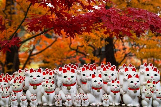 tokyo-an-unique-temple-walking-tour-for-cat-lovers