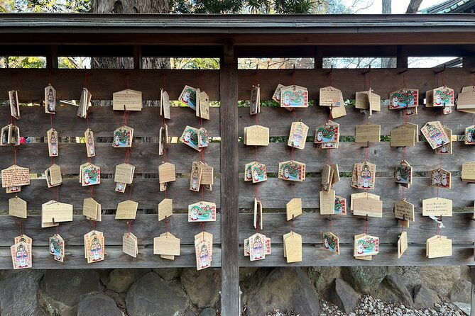 tokyo-an-unique-temple-walking-tour-for-cat-lovers