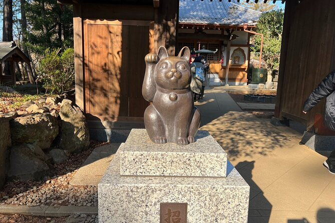 tokyo-an-unique-temple-walking-tour-for-cat-lovers