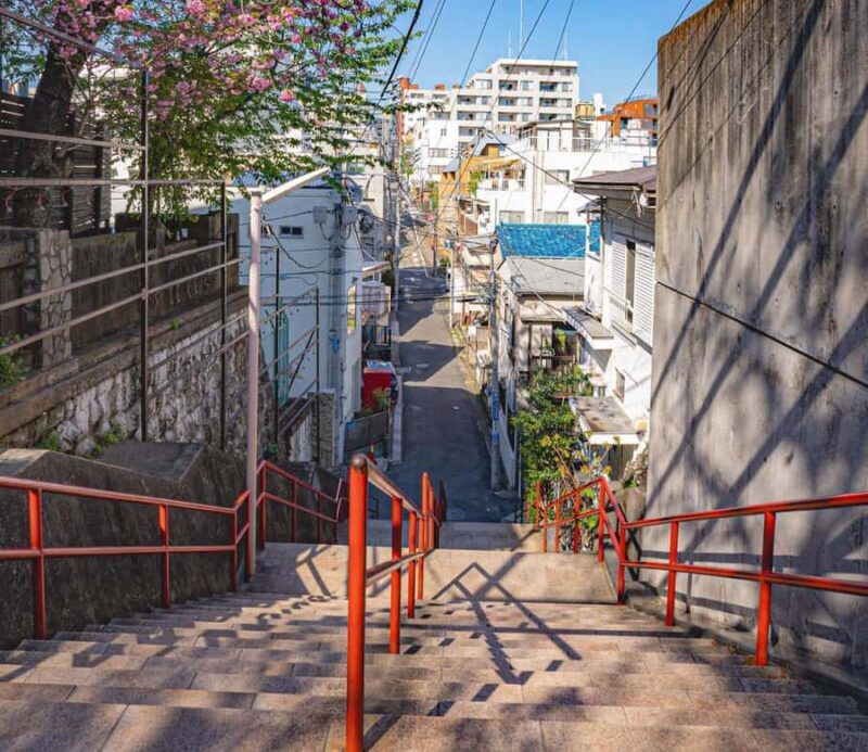 Tokyo: Anime-Inspired Cityscapes Day Tour (Makoto Shinkai) - The Experience: What to Expect and Why It Matters